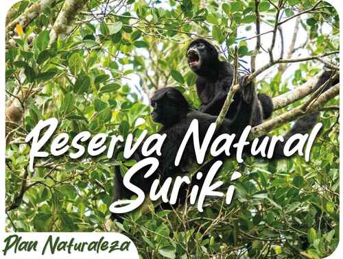 Imagen de Plan Naturaleza - Reserva Natural Surikí