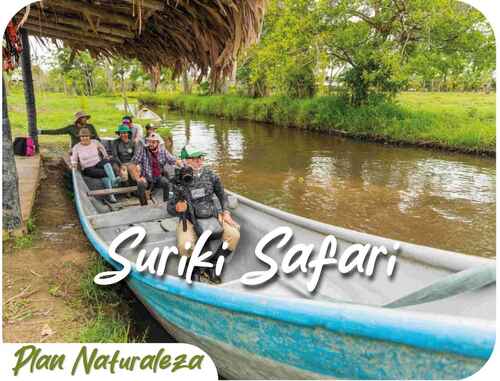 Imagen de Surikí Safari