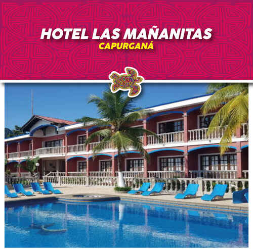 HOTEL LAS MAÑANITAS